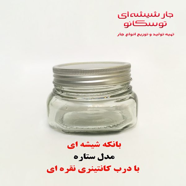 مدل ستاره در کانتینری